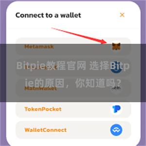 Bitpie教程官网 选择Bitpie的原因，你知道吗？