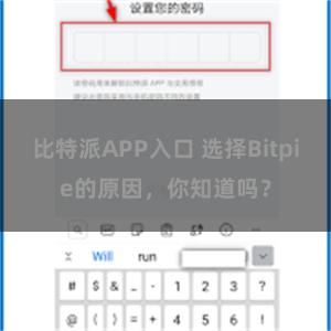 比特派APP入口 选择Bitpie的原因，你知道吗？