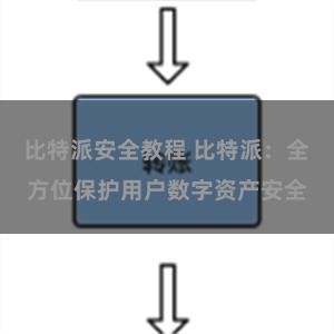 比特派安全教程 比特派：全方位保护用户数字资产安全