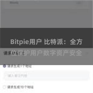 Bitpie用户 比特派：全方位保护用户数字资产安全