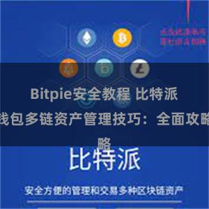 Bitpie安全教程 比特派钱包多链资产管理技巧：全面攻略