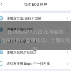 比特派APP入口 比特派钱包多链资产管理技巧：全面攻略