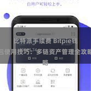 比特派手续费 Bitpie钱包使用技巧：多链资产管理全攻略