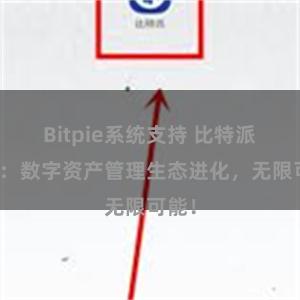 Bitpie系统支持 比特派钱包：数字资产管理生态进化，无限可能！