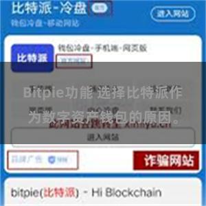 Bitpie功能 选择比特派作为数字资产钱包的原因。