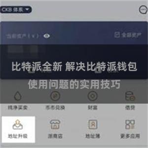 比特派全新 解决比特派钱包使用问题的实用技巧