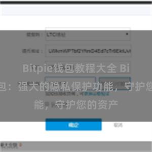 Bitpie钱包教程大全 Bitpie钱包：强大的隐私保护功能，守护您的资产