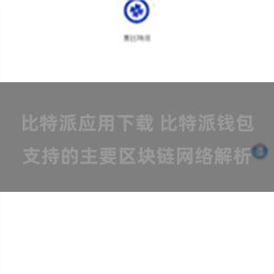 比特派应用下载 比特派钱包支持的主要区块链网络解析