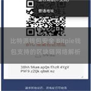 比特派钱包安全 Bitpie钱包支持的区块链网络解析