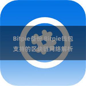 Bitpie备份 Bitpie钱包支持的区块链网络解析