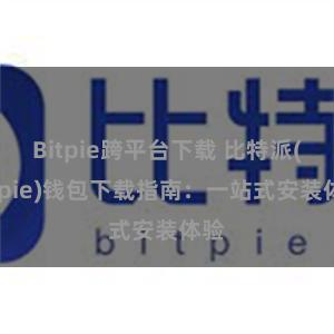 Bitpie跨平台下载 比特派(Bitpie)钱包下载指南：一站式安装体验