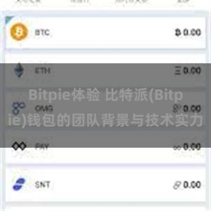 Bitpie体验 比特派(Bitpie)钱包的团队背景与技术实力