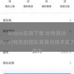 Bitpie应用下载 比特派(Bitpie)钱包的团队背景与技术实力