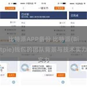 比特派APP备份 比特派(Bitpie)钱包的团队背景与技术实力