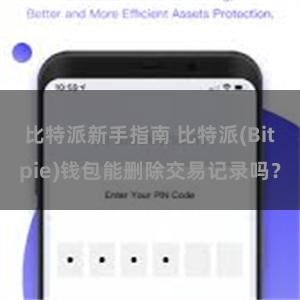 比特派新手指南 比特派(Bitpie)钱包能删除交易记录吗？