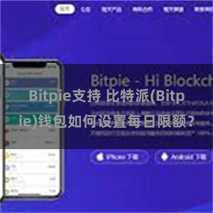 Bitpie支持 比特派(Bitpie)钱包如何设置每日限额？