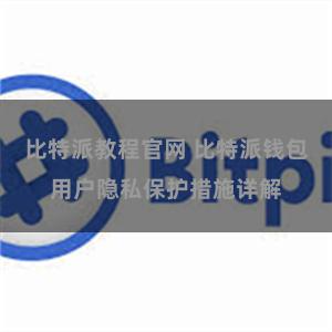 比特派教程官网 比特派钱包用户隐私保护措施详解