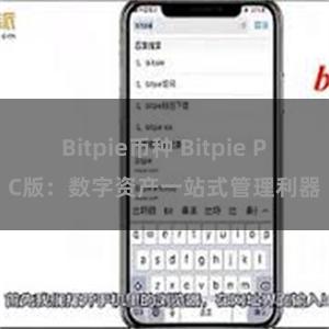 Bitpie币种 Bitpie PC版：数字资产一站式管理利器