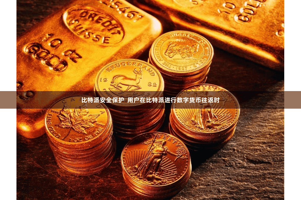 比特派安全保护  用户在比特派进行数字货币往返时